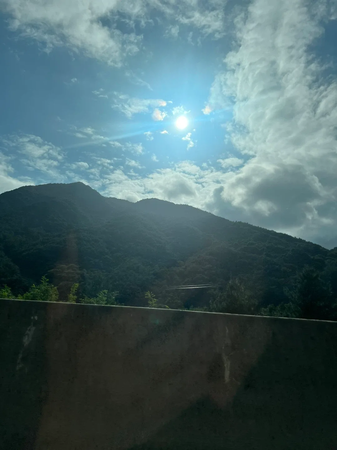 홀리몰리