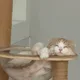 비움중