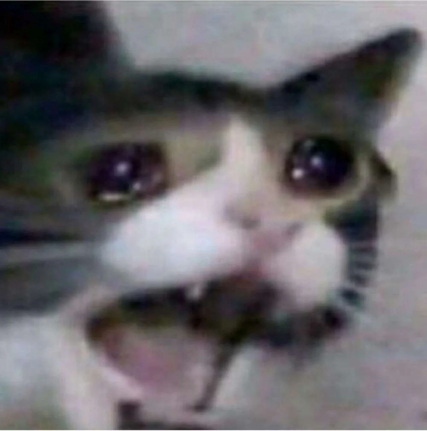 자유