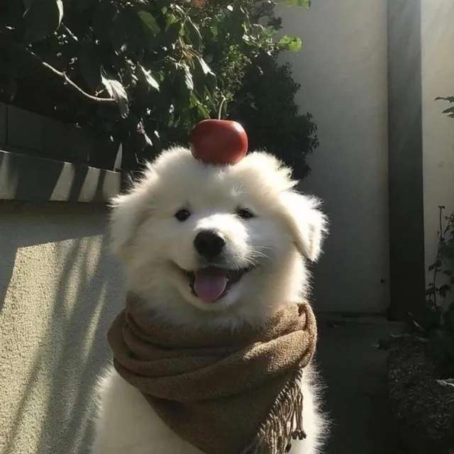 신나는김마루