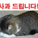 방구석두쫀쿠