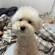 토깽사냥꾼