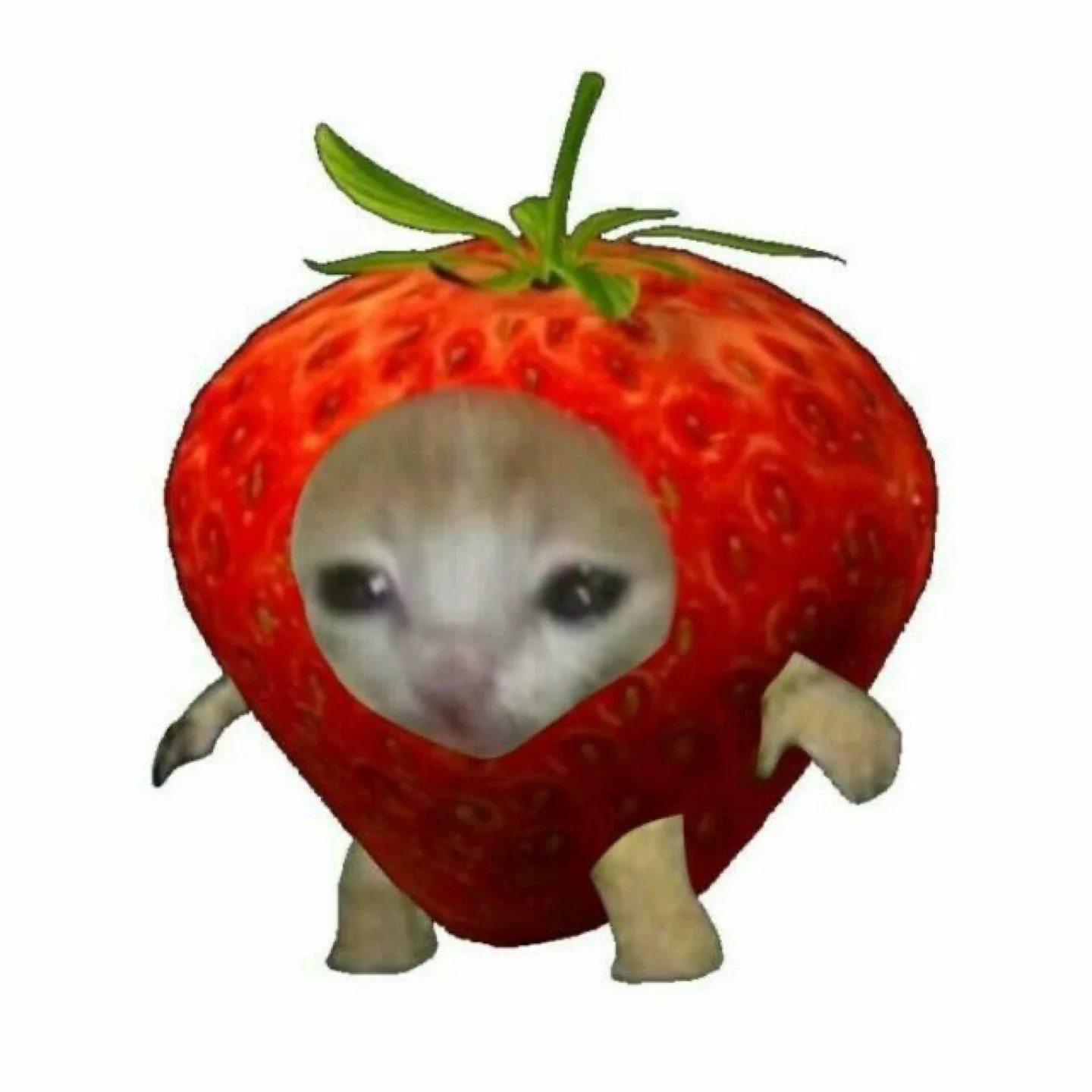 딸기
