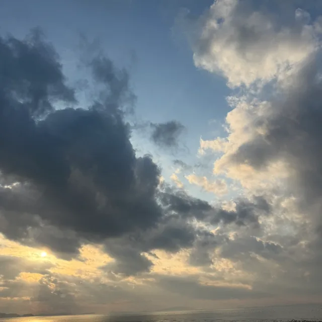 솜솜