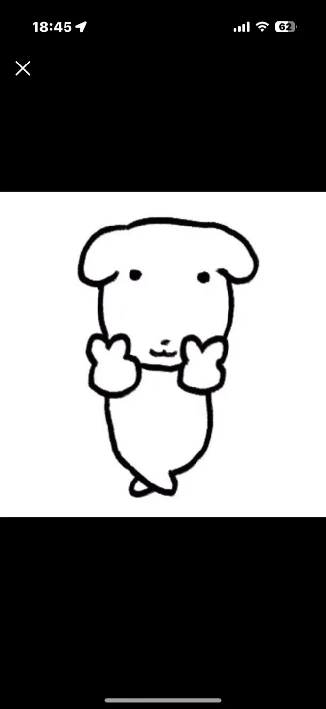 블랙체뤼