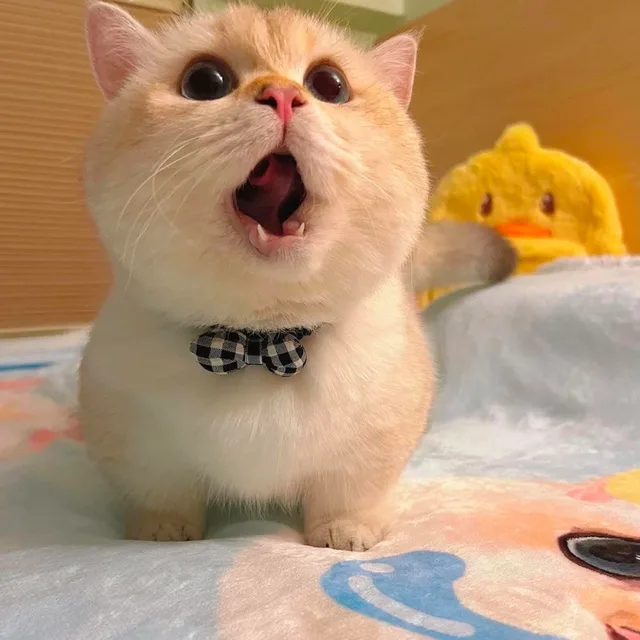 빈둥