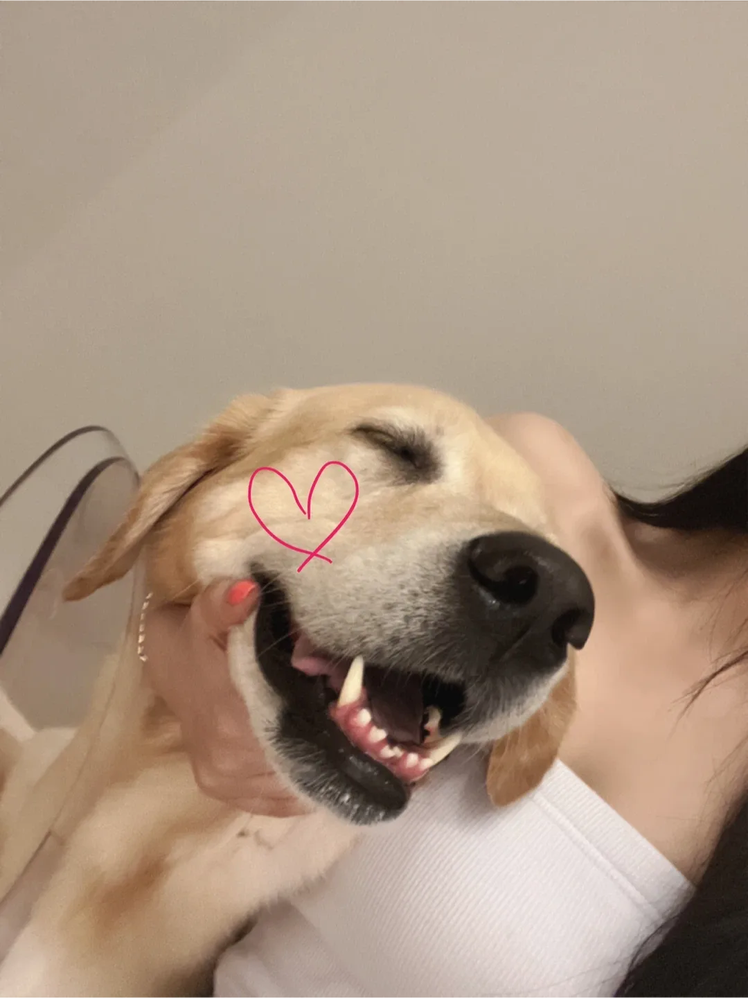 먕먕밍밍