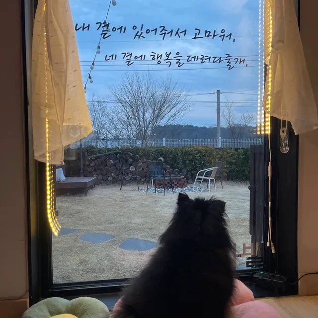 블루문