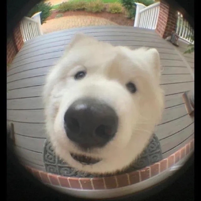 멈무