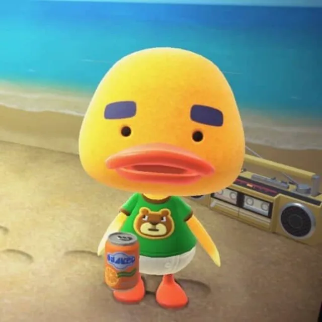 둥둥