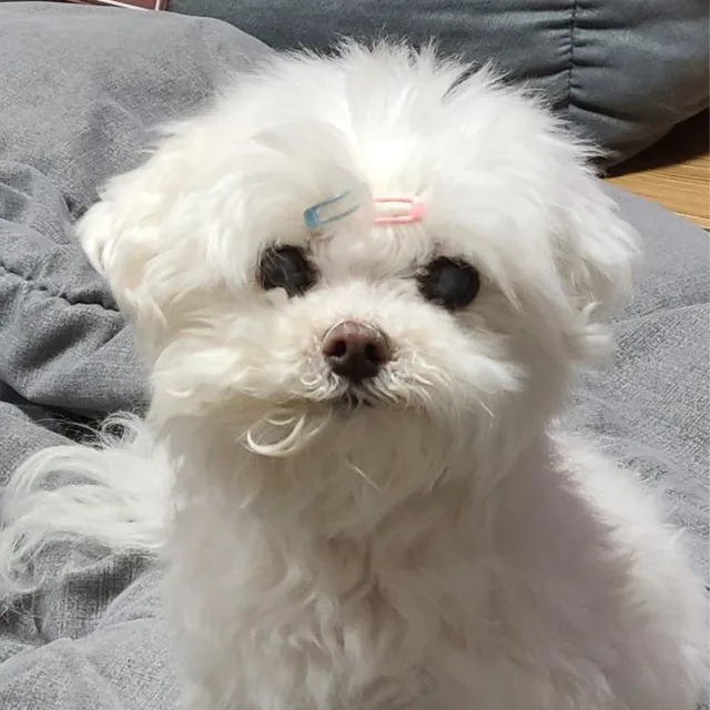 북추천재