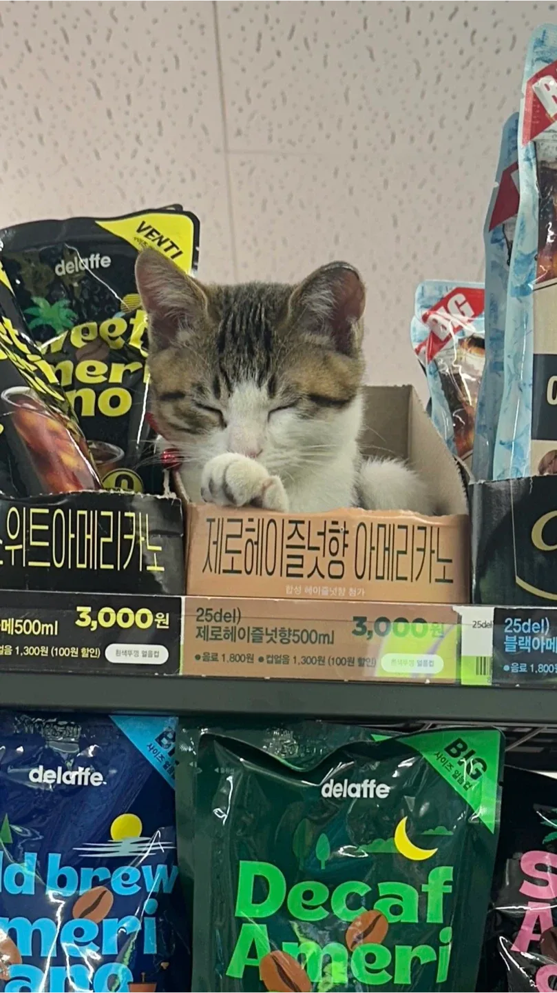 명망