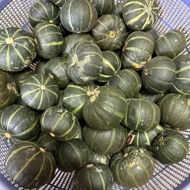 호구마