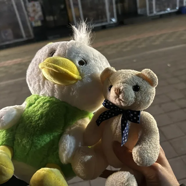 뽀잉