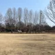 파란하늘