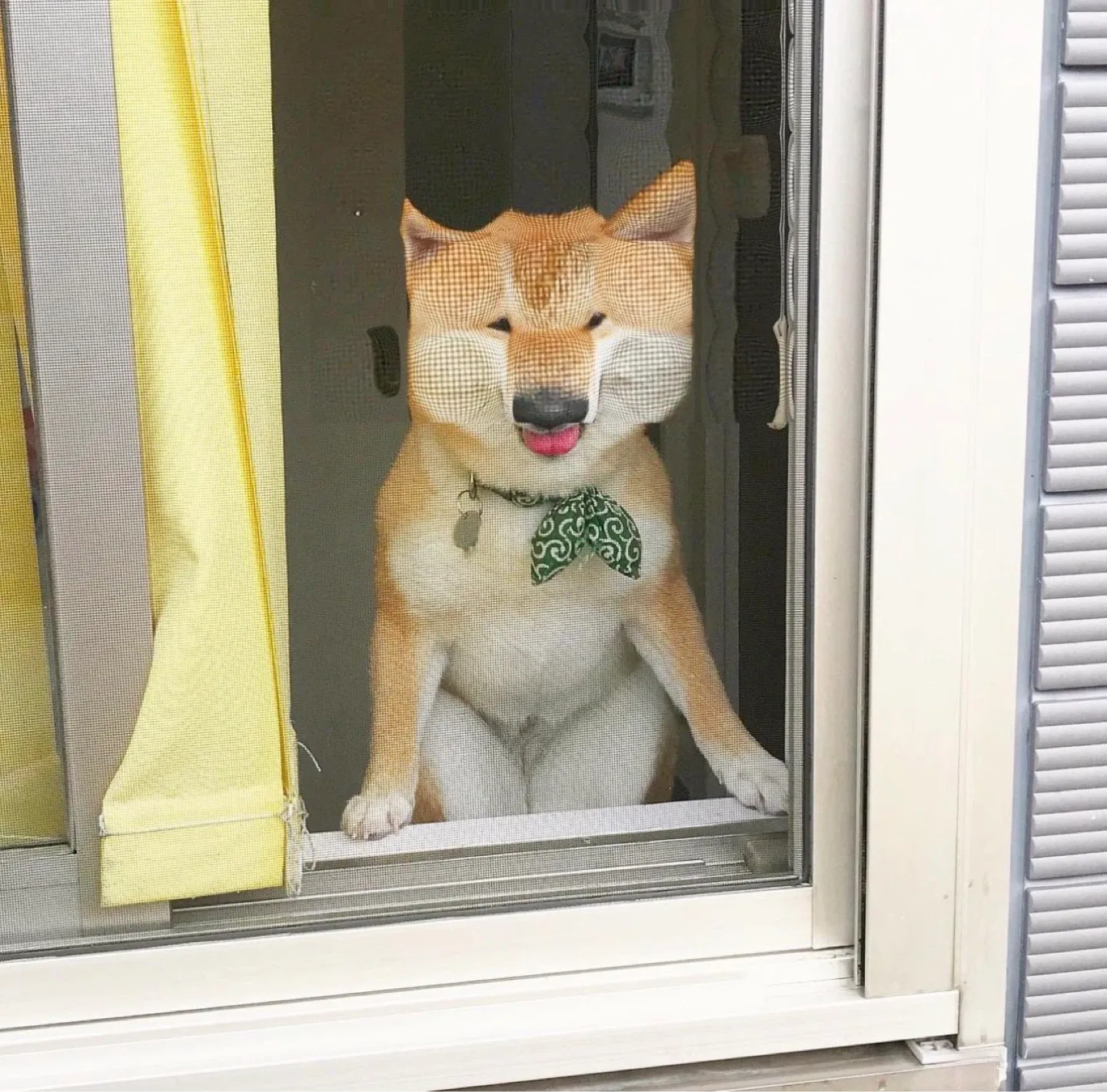 넴모