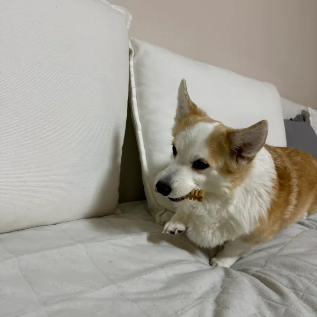 시화