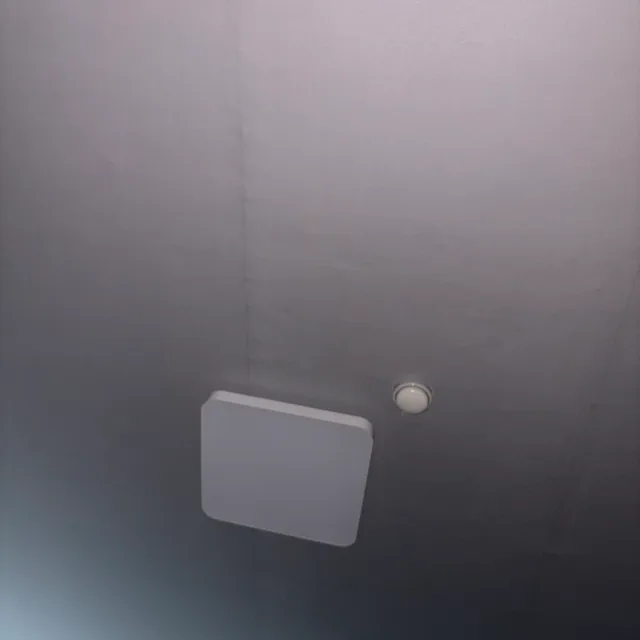 탱탱이