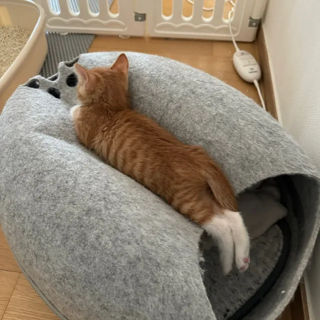추워용