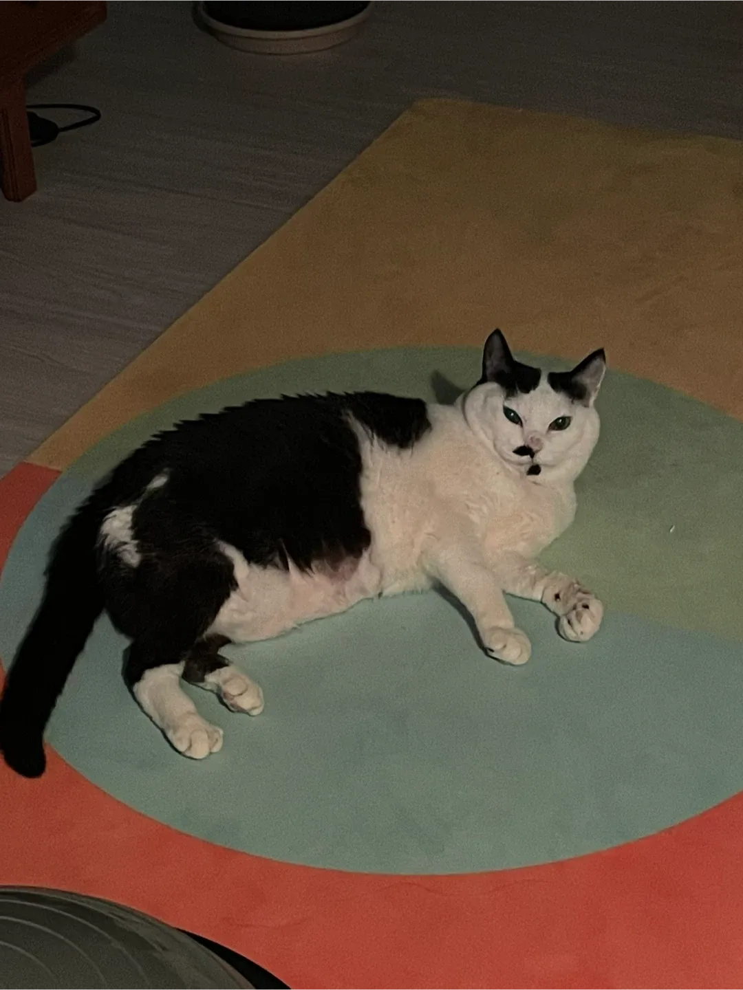식혜