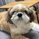 콩콩00