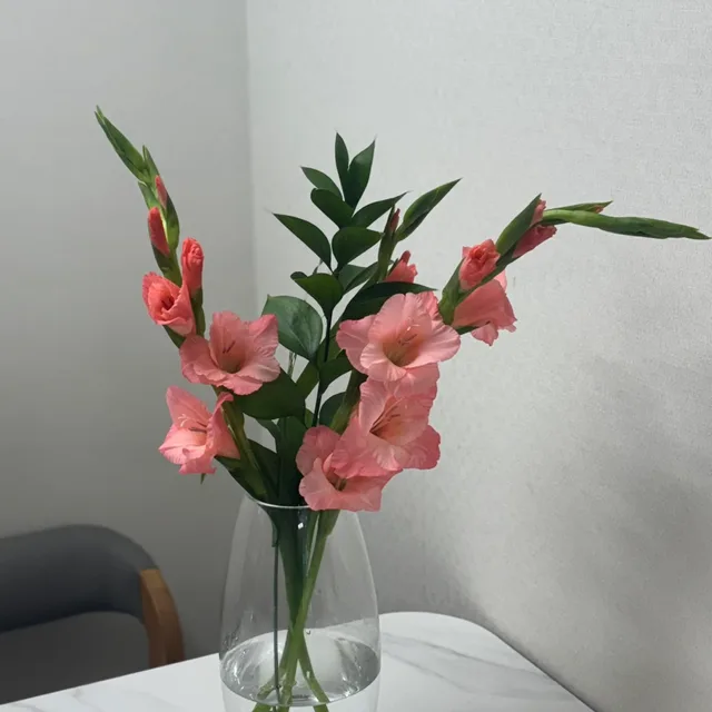 딸기산도