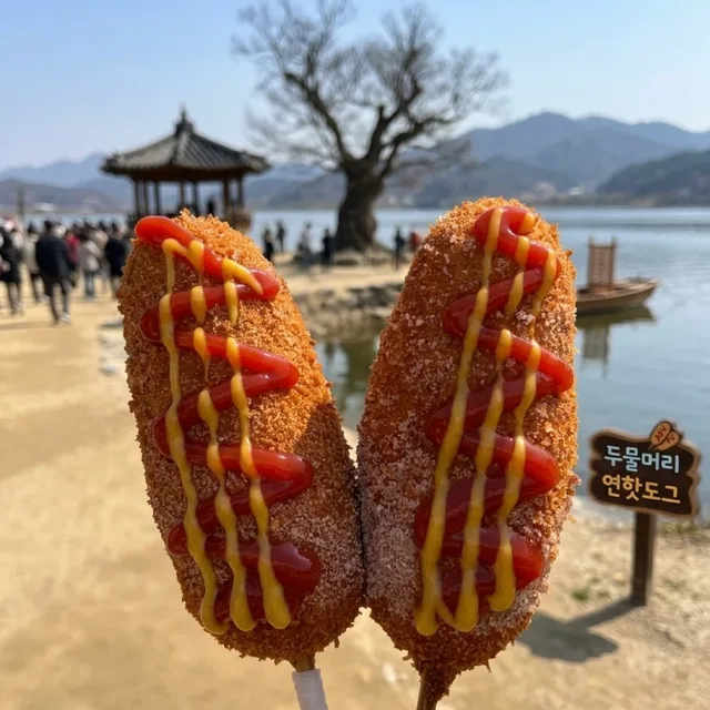 당근당근