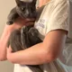 히식