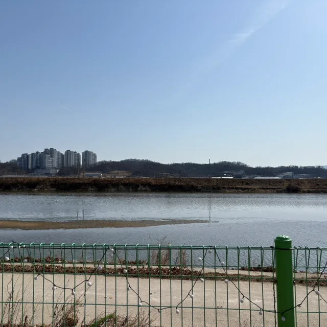 당근빼고