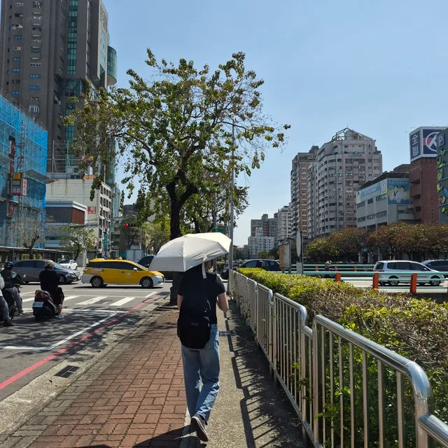 또리씨