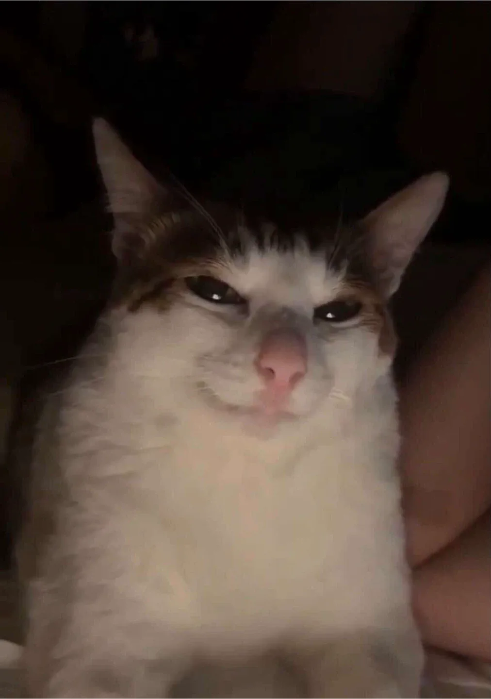 거래감사합니다