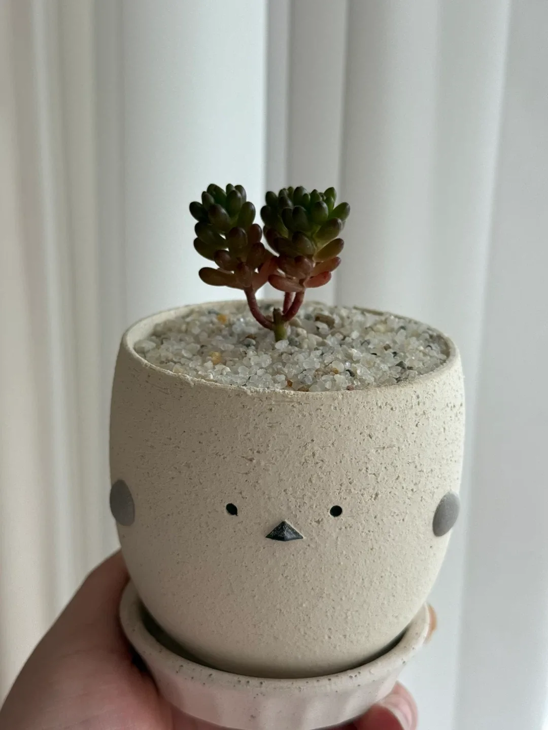 레니