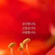 올리