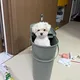 룽룽
