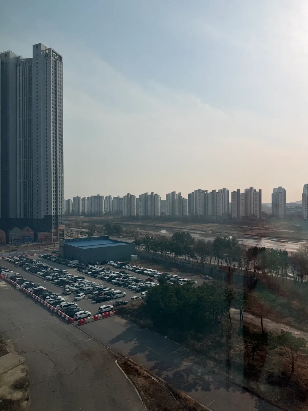 비비