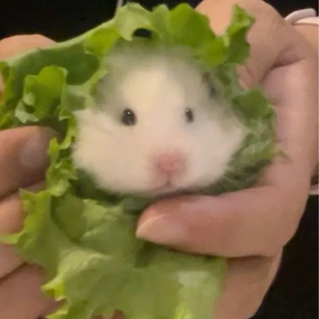 우후후