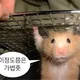 연도