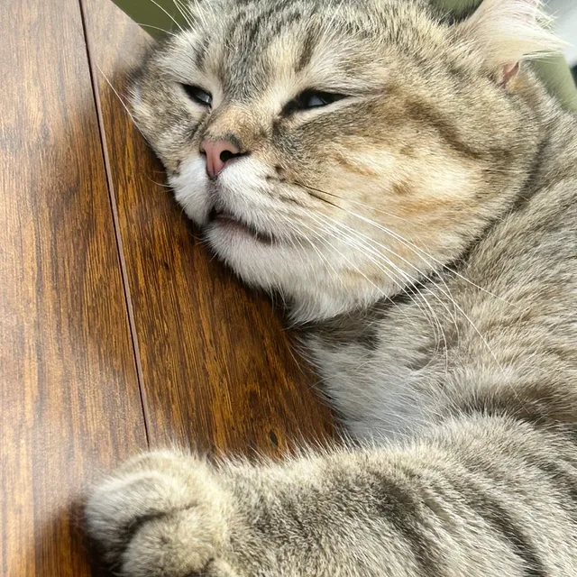 르몽