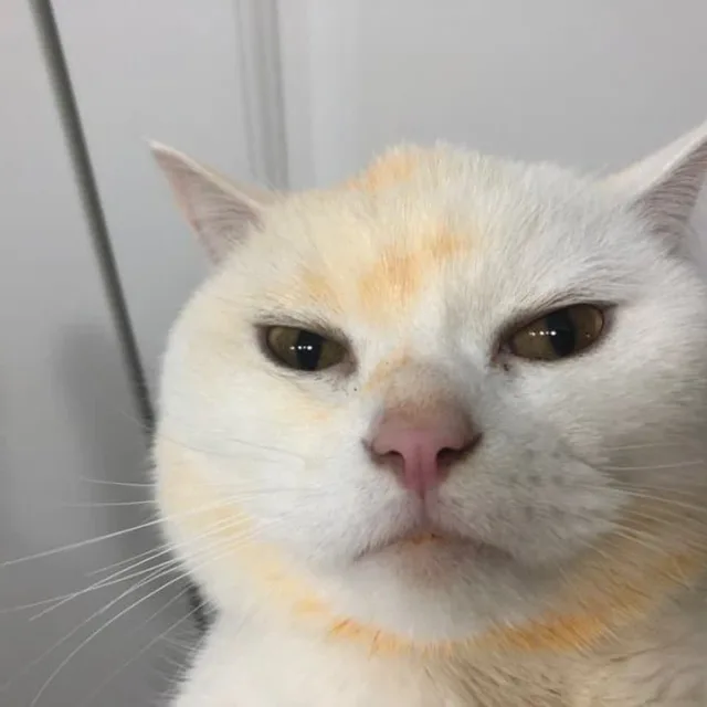 정용헌