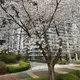 당근당근