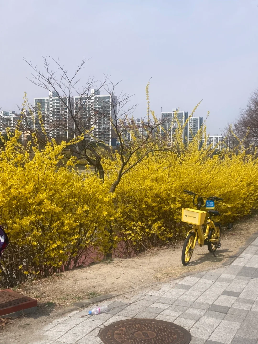 자전거시작하는친구