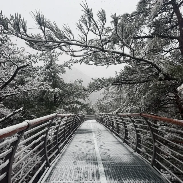 당근프로