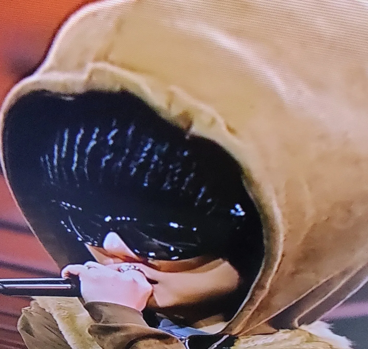 쀄뷃