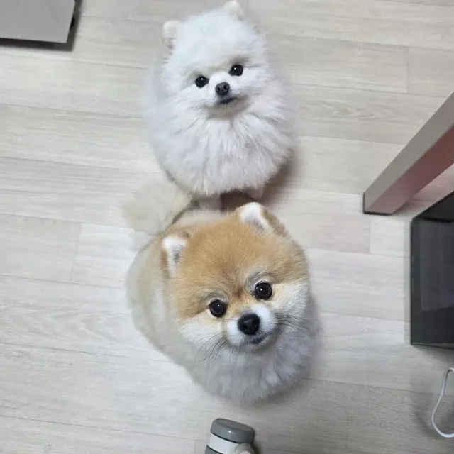 행복한삶속