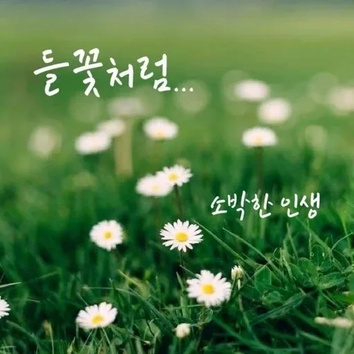 새로미동남지구65