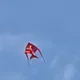 시절인연