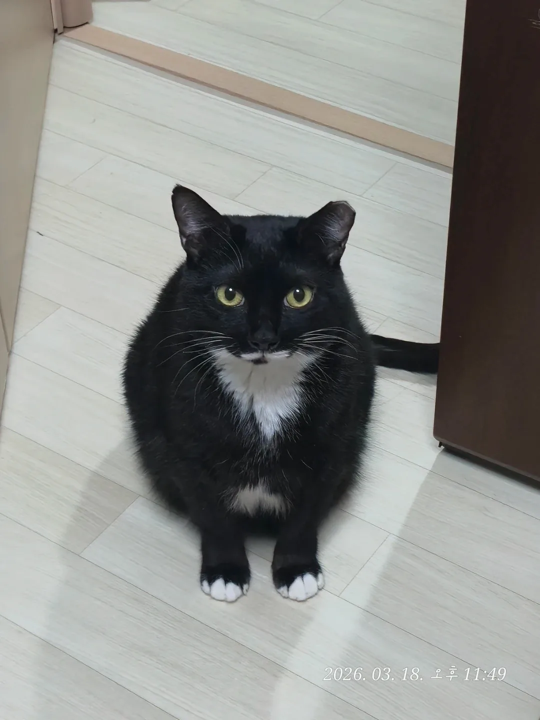 보리음료