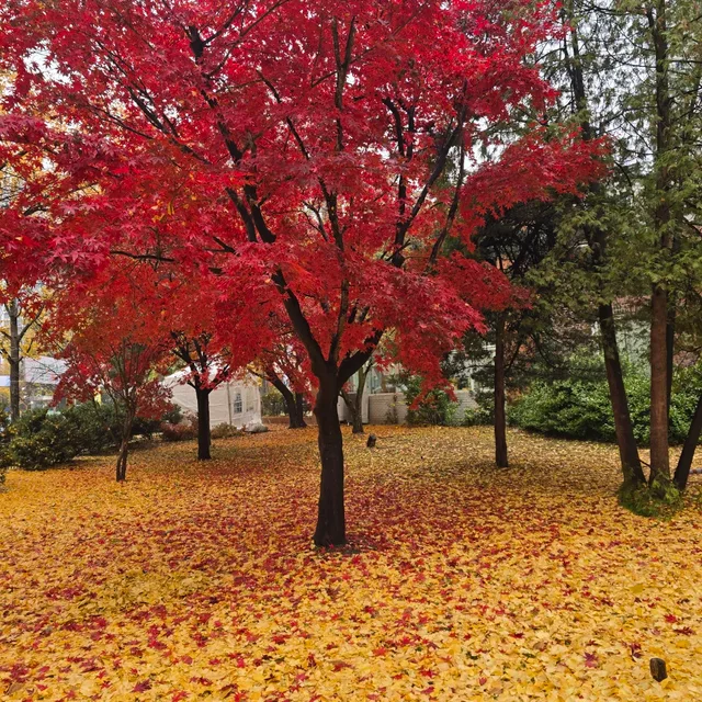 티끌모아