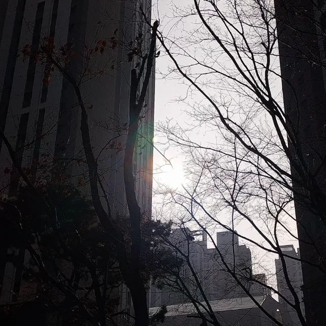 신월