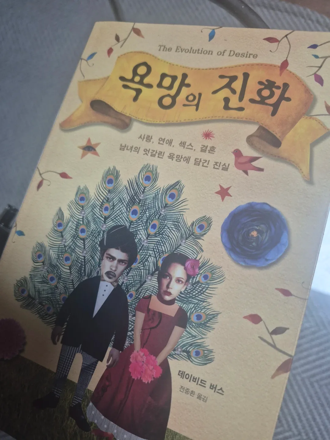 화니